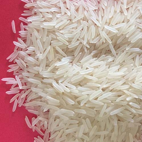 SUGANDHA-WHITE-SELLA