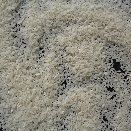 SONA MASOORI RAW RICE